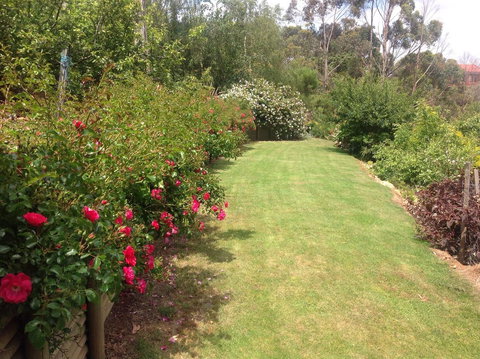 Sheer Pleasure Accommodation - Accommodation NT 7