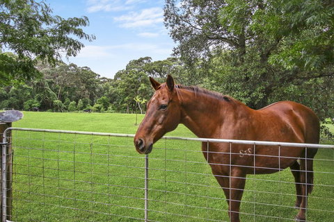NUNGAROO COTTAGE - Accommodation NT 3