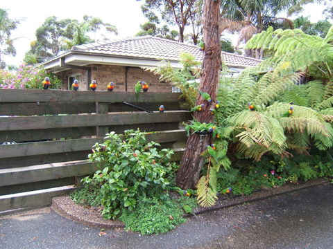 Ocean Drive Apartments - Accommodation NT 3