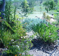 Old Miners' Cottages Bed and Breakfast - Accommodation NT