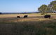 Olinda Yarra Cottage - thumb 2