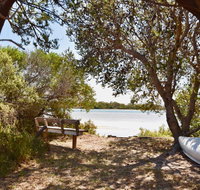 Oystercatcher - On the banks of the lagoon - Accommodation NT