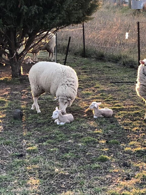 OConnell Retreat BnB - Accommodation NT 3