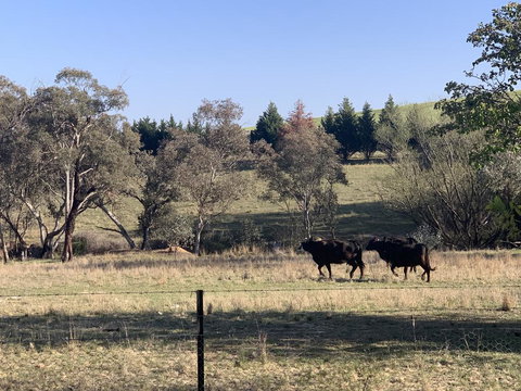 OConnell Retreat BnB - Accommodation NT 1
