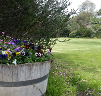 Padthaway Caravan Park - Accommodation NT