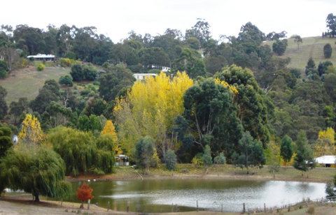 Pamelas Retreat - Accommodation NT 3