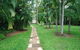 Pandanus On Litchfield - thumb 0