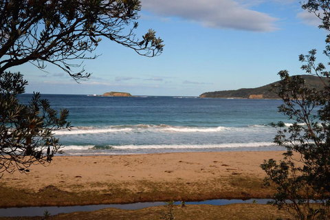 Pebbly Beach Shacks - Accommodation NT 0