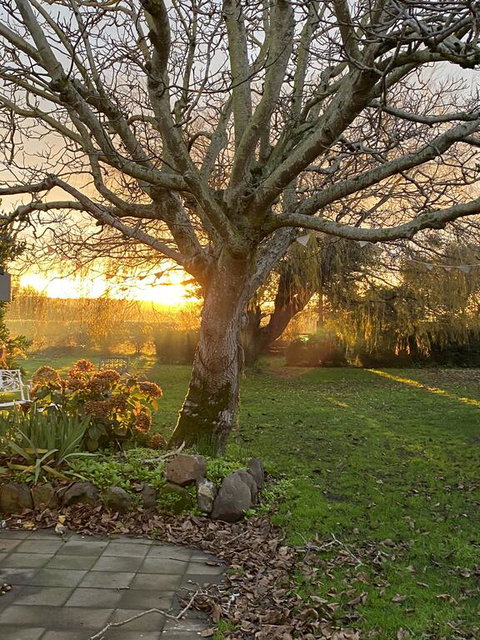 Peg Cottage - Accommodation NT 0