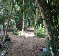 Rainforest Water Front River Shack Secluded. - NT Tourism