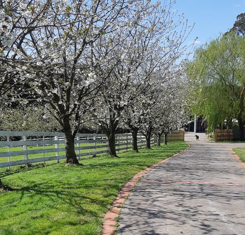 Ray's Farm - Accommodation NT 1