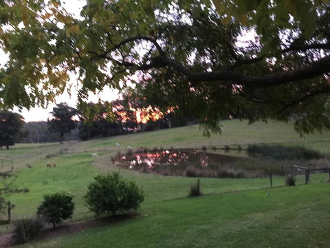 Raynella Alpaca Farmstay - Accommodation NT 2