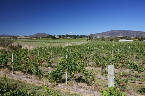 Riversdale Estate Cottages - Accommodation NT 1