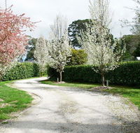 Robin Hill Manor - rambling retreat  tennis court - NT Tourism