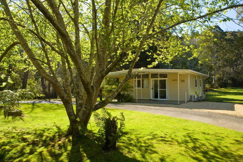 Russell Falls Holiday Cottages - NT Tourism 3