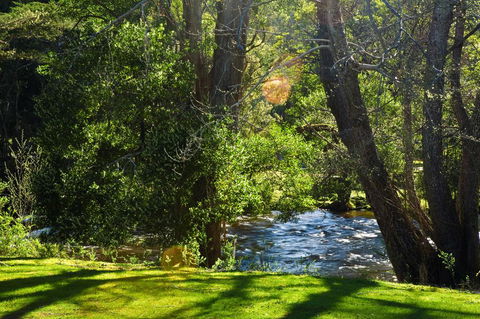 Russell Falls Holiday Cottages - NT Tourism 2