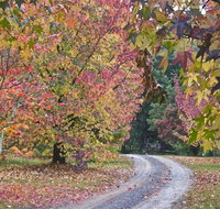 Rustic Spirit - Accommodation NT