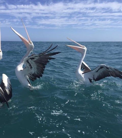 Seas The Day - Accommodation NT 3