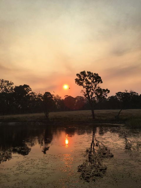 Serenity On Stanthorpe - NT Tourism 2