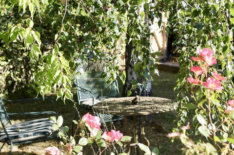 Silver Birch B&B - Accommodation NT 3