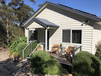Snowgums in Katoomba
