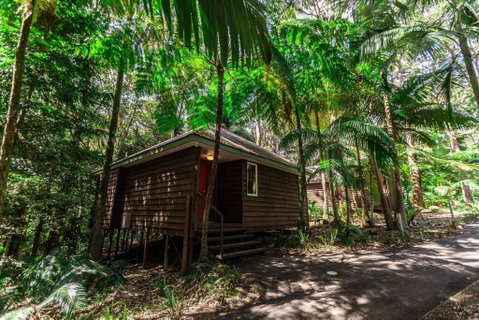 Songbirds Rainforest Retreat - Accommodation NT 2
