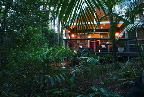 Songbirds Rainforest Retreat - Accommodation NT 0