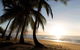 Spice At Oak Award Winning Luxury Absolute Oceanfront House Oak Beach Near Port Douglas - thumb 1