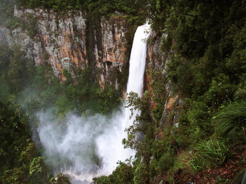 Springbrook Lyrebird Retreat - Accommodation NT 2