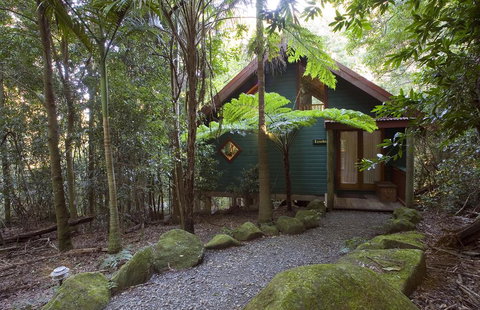 Springbrook Lyrebird Retreat - Accommodation NT 1