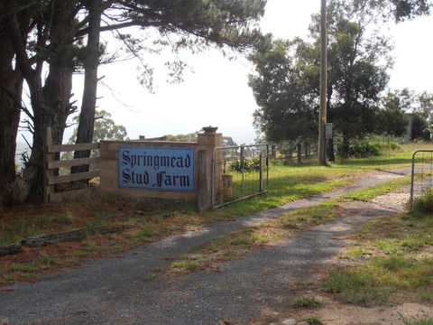 Springmead B&B - Accommodation NT 2