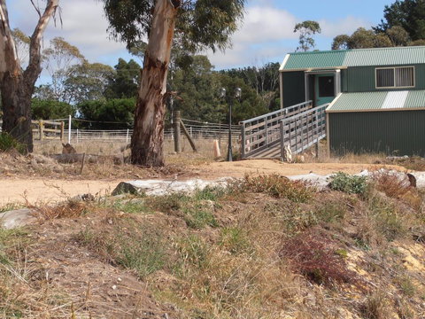 Springmead Rustic Cabin - Accommodation NT 1