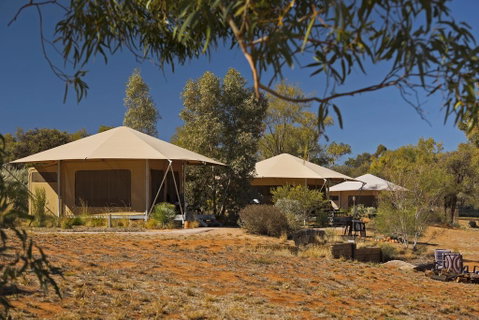 Squeakywindmill Boutique Tent B&B - Accommodation NT 0