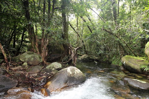 Stonewood Views - Accommodation NT 1