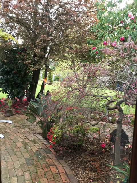 Stony Rise Cottage B&B - Accommodation NT 1