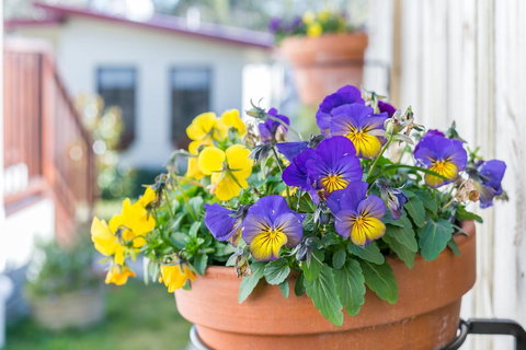 Sunnyside - Accommodation NT 1