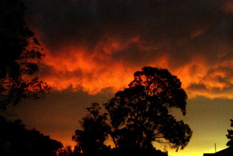 Taits Place Vineyard B & B - Accommodation NT 0