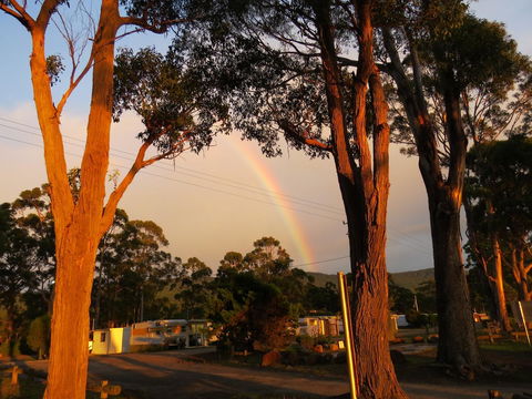 Captain Cook Holiday Park - NT Tourism 12