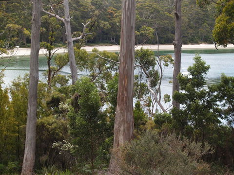 Stewarts Bay Lodge - Accommodation NT 23