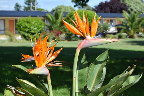 Beachway Motel - NT Tourism 21