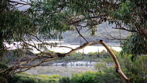 KINGFISHER COTTAGE Beachfront At The Binalong Bay - Accommodation NT 17