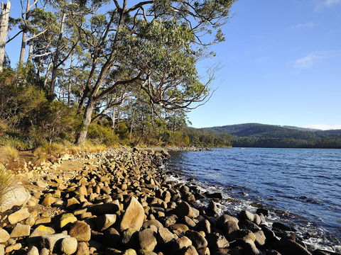 NRMA Port Arthur Holiday Park - Accommodation NT 0