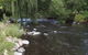 Blue Wren Riverside Cottage - thumb 7