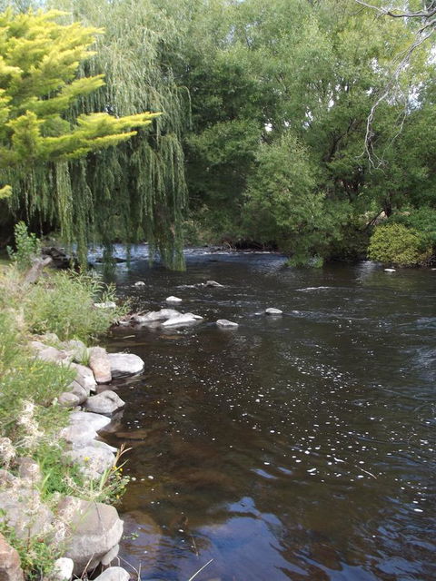 Blue Wren Riverside Cottage - Accommodation NT 7