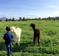 Taras Richmond Farmstay - Accommodation NT