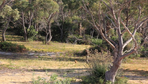 BAY OF FIRES SEACHANGE Ocean Frontage - Accommodation NT 12