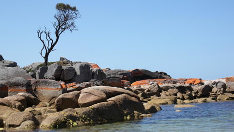BAY OF FIRES SEACHANGE Ocean Frontage - Accommodation NT 21