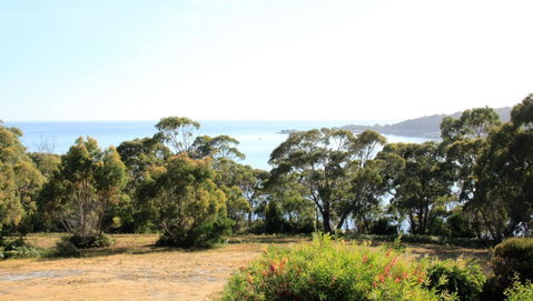 BAY OF FIRES SEACHANGE Ocean Frontage - Accommodation NT 16