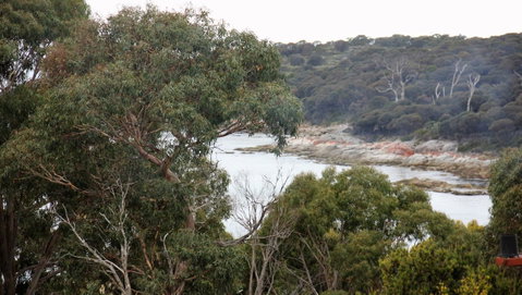 BAY OF FIRES SEACHANGE Ocean Frontage - Accommodation NT 15