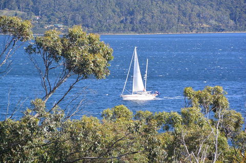 The Tree House - NT Tourism 5